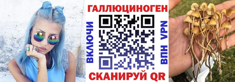 как найти закладки  blacksprut вход  Псилоцибиновые грибы GOLDEN TEACHER  Питкяранта 